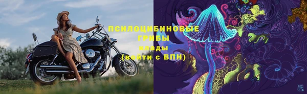 соль ск Алзамай