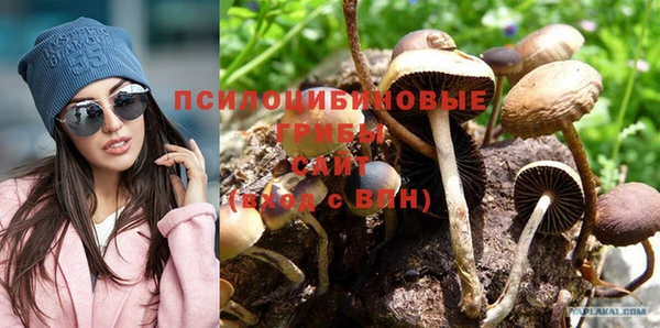 героин Абаза