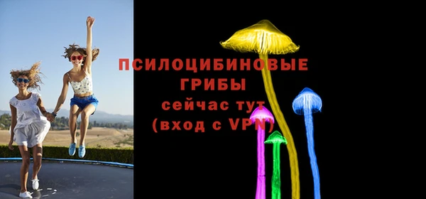 крисы Алексеевка