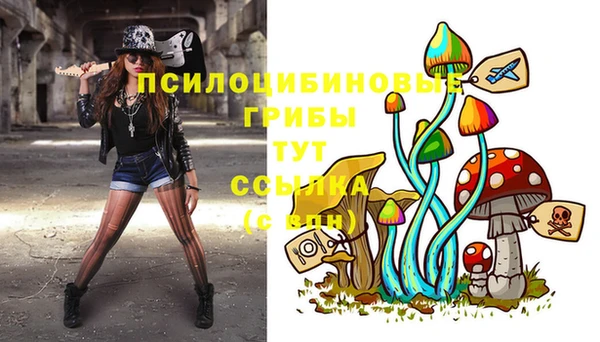 крисы Алексеевка