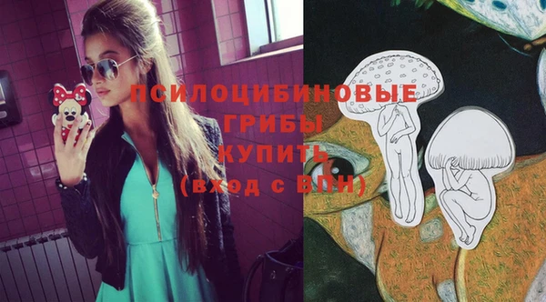 соль ск Алзамай
