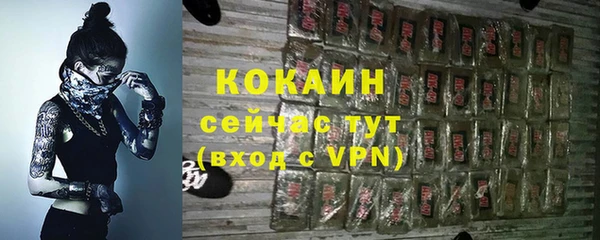соль ск Алзамай