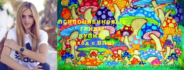 крисы Алексеевка
