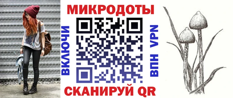 блэк спрут рабочий сайт  Ахтырский  shop наркотические препараты  где купить   Псилоцибиновые грибы мицелий 
